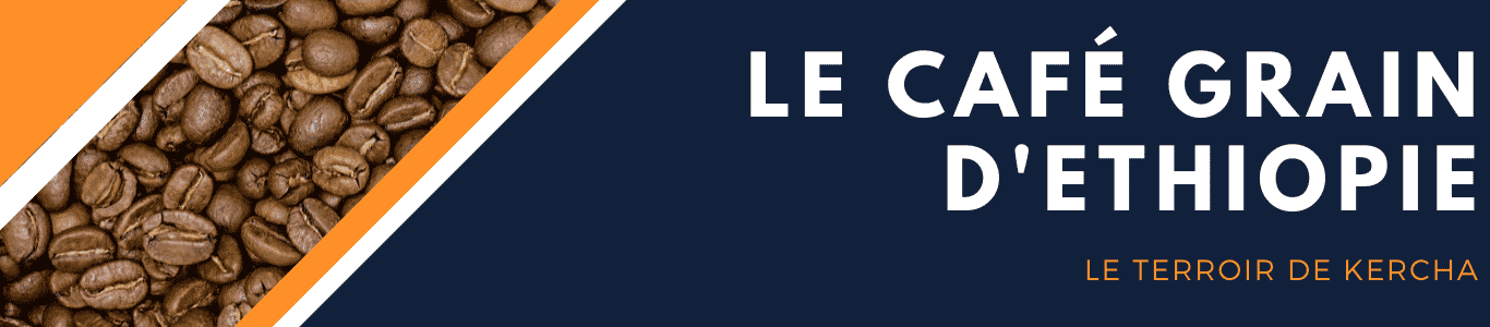 Café grain d'Éthiopie