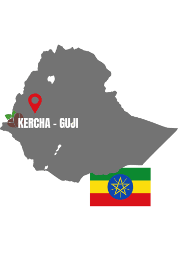 Pays de l'ethipie avec sa région et son drapeau