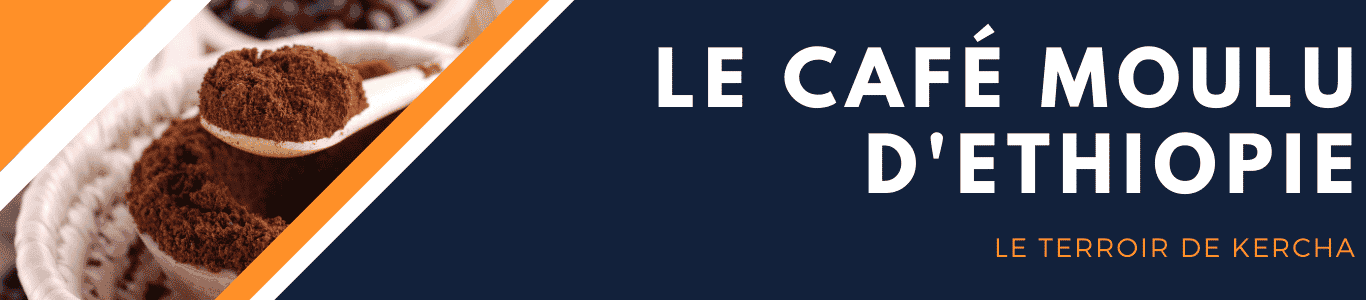 BANDEAU INFO TERROIR ETHIOPIE GUJI-MOULU
