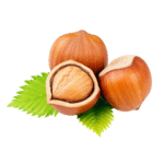 Image simple de noisette